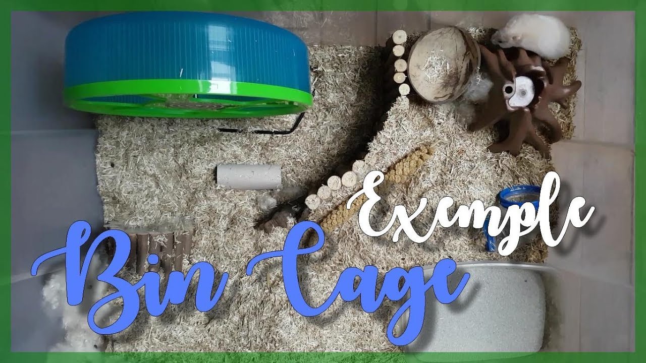 Exemple de Bin Cage - Cage pour Hamster