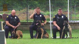 New K-9 agility course built for local police officers and their K-9 companions