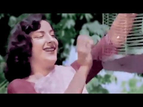 Chori Chori in colour   Panchhi Banoo Udti Phiroon Song Nargis Lata Mangeshkar