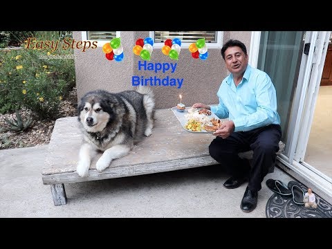 How To Cook a Perfect Meal For Your Pets