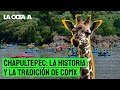 EL ZOOLÓGICO de CHAPULTEPEC: HISTORIA y TRADICIÓN de un CLÁSICO de la CIUDAD de MÉXICO