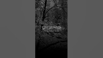 تلاوة قصيرة من سورة يوسف بصوت القارئ محمد هشام 🎧🖤🤍