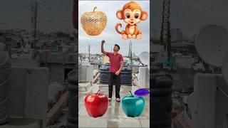 Bandar mama Aaye, pant pajama, Dekho kutta Aaya, fir  Billi aaye video #shortsfeed #shorts #funnyp
