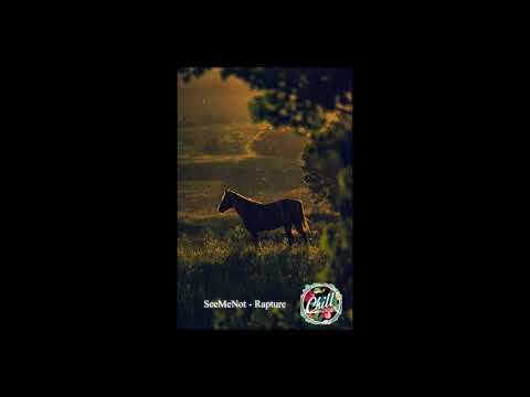 SeeMeNot - Repture