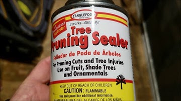 How to prune trees part 4: Don