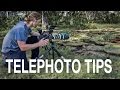 Telephoto Photography - Why are my pictures blurry?