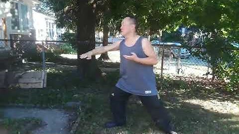 (Video #86) Taekwondo Demonstration: Taegeuk #4 (Double Knife Hand Block to Left Reverse Punch)