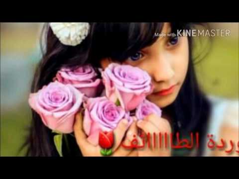 قروب قمر تويتر 1
