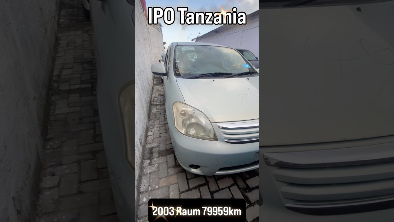 Toyota Raum 2003 Green
