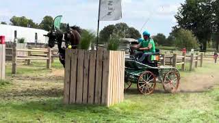 Horse Pair World Championship 2025 Beekbergen  - Folke Rohrssen - Ireland