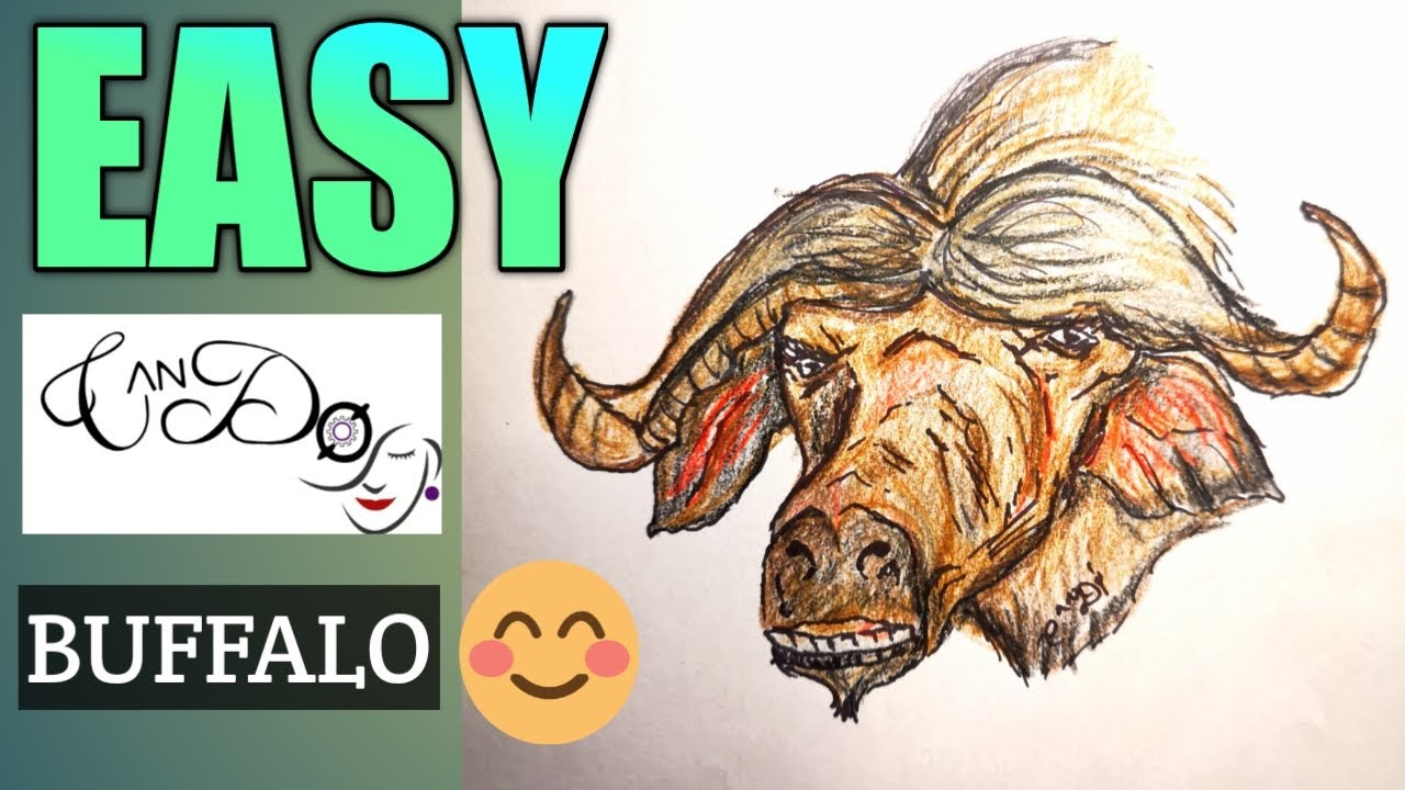 How To Draw A Buffalo Step By Step For Beginners Easy Buffalo Head Maxresdefault