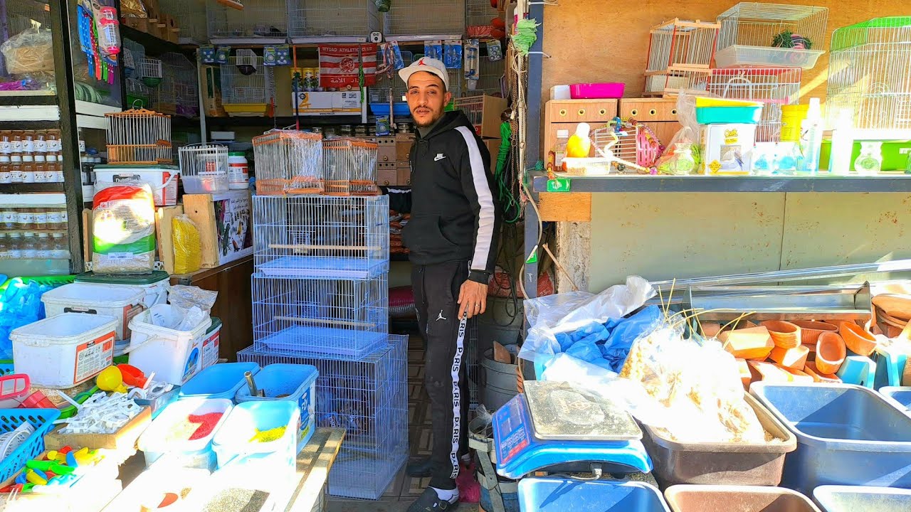 احسن خلطة+اسعار الاقفاص 🐦اثمنة الاكل🌾 ومستلزمات الطيور بسوق القريعة🦜اكبر سوق في المغرب.الجملةوتقسيط