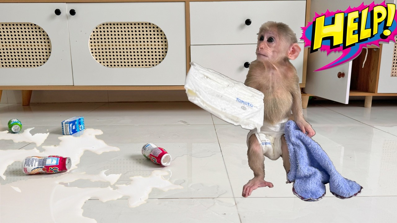 Family Shocked After Lucky Spills Milk—Her Reaction Amazed Everyone