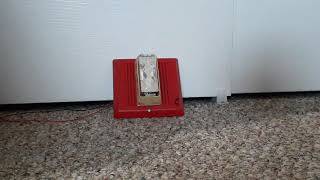 My Very Rare EST Integrity 757-7A-CS Chime Strobe Fire Alarm Test!