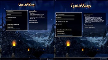 Run 2 or More Guild Wars Accounts [2025 Guide]