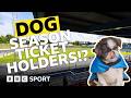 Eating PIES & BARKING from stands | Meet football club's dog fans | BBC Sport Scottish Football