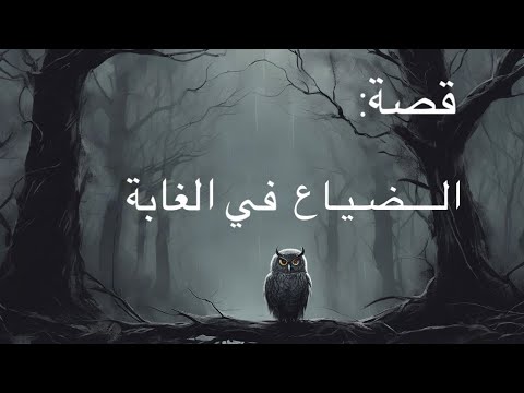 قصة سوداوية أخر رسالة ك تبت قبل الضياع في الغابة