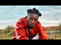 Wizzy Mp F1 Official Video mp3