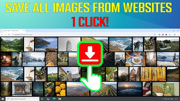 Download ALL Images from Any Website in 1 Click! (100+ Images in Seconds)