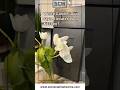Which Cabinet Door Style Elevate your Kitchen? Stone Cabinet Works