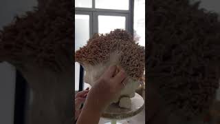 1 Min Video In Mina Karwanchis Ceramic Studio