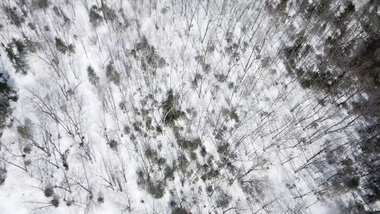 Wallagrass Maine drone footage April 2019 on the Fish River YouTube