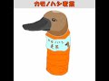 「カモノハシ麦茶」　卵が割れてるね ft.歌愛ユキ