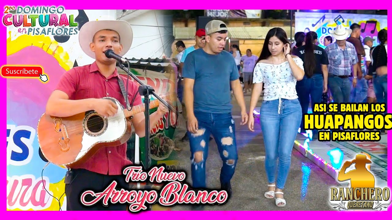 Huapangos en PISAFLORES Hidalgo con el trio Nuevo Arroyo Blanco