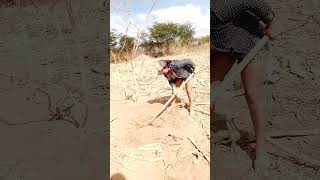 Mostrando O Meu Dia A Dia Na Roça Sítio Prata