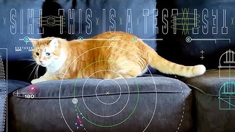 The First Video NASA Streamed Through Space With Lasers is of ‘Taters’ the Cat