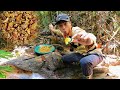 Exploring a wild creek and hunting for beautiful placer gold