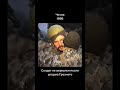 Тяжёлые кадры войны в Чечне History Shorts Facts россия чечня