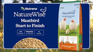 NatureWise Meatbird Start to Finish | Premium Poultry Feed for Healthy, Happy  Birds
