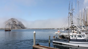 Fallout 4 kellogg glitch