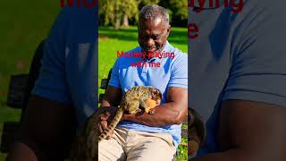 Monkey Playing with me 😌#shorts#music #monkey#ai#nobatidao