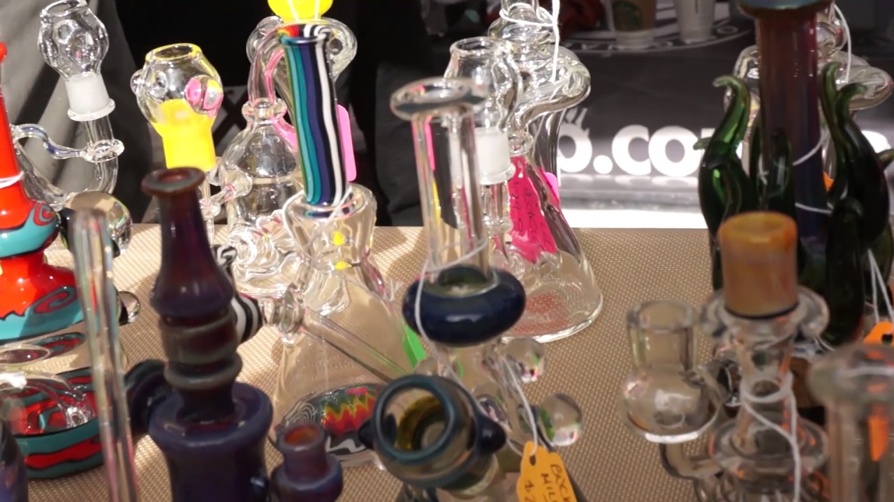 The Karma Cup: Expo Highlights