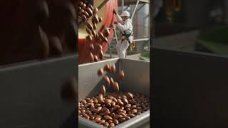 #apple seed harvest operation refinery video #