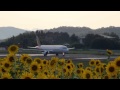 高松空港　ひまわり畑　さぬきこどもの国　テイクオフ