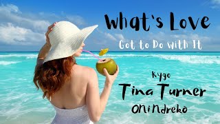Kygo, Tina Turner - Whats Love Got to Do with It ONi Ndreko Cover Version