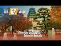 İlk 8K Vlog - Güney Kore 3.Bölüm: Gelenekten Geleceğe