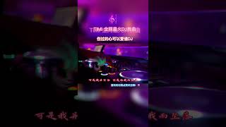 伤过的心可以爱谁DJ