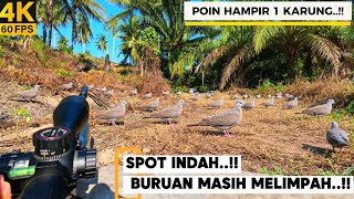 HUNTING‼️SPOT RAHASIA...BURUAN SANGANT MELIMPAH..💥‼️