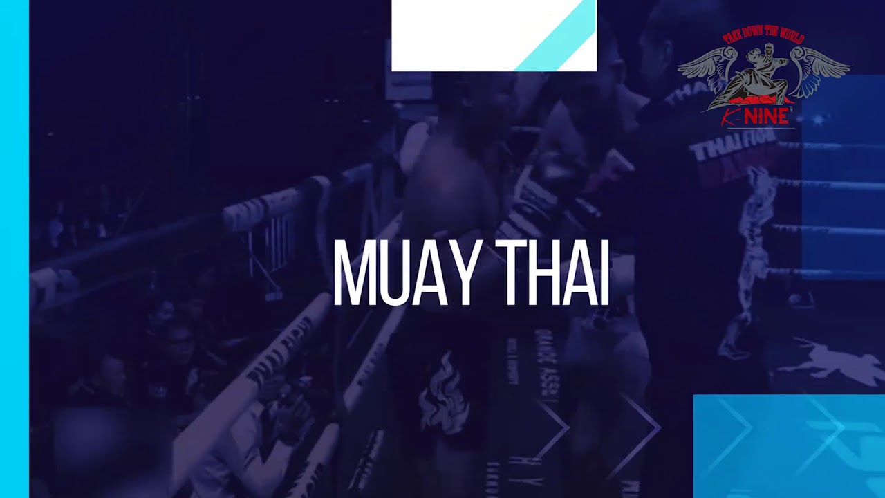 WORLD MARTIAL ARTS FESTIVAL 2018