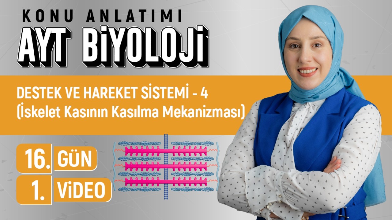 Destek Hareket Sistemi - 4 (İskelet Kasının Kasılma Mekanizması) - 16.Gün - 1.Video