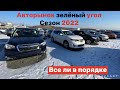 АВТОРЫНОК ЗЕЛЕНЫЙ УГОЛ 2022 ВСЕ ЛИ ТАМ В ПОРЯДКЕ