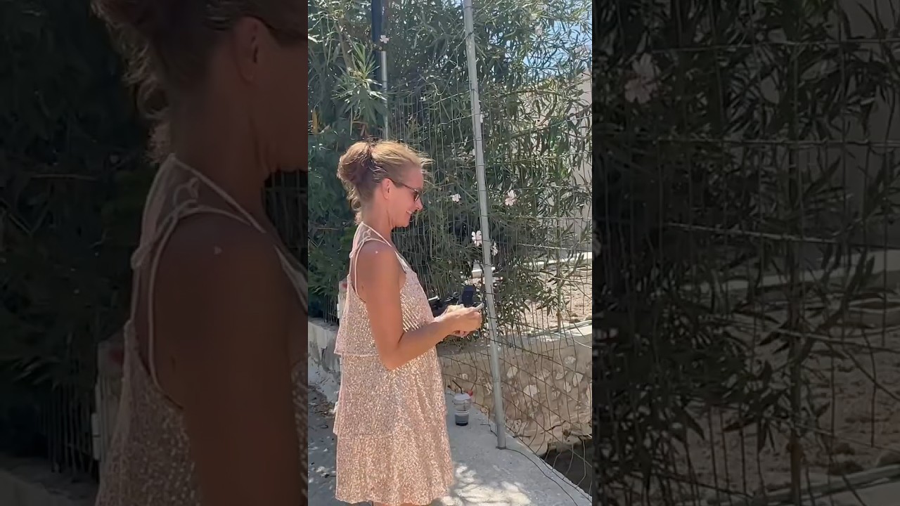 The secret fishpond on Kalymnos. Most tourists dont know it.