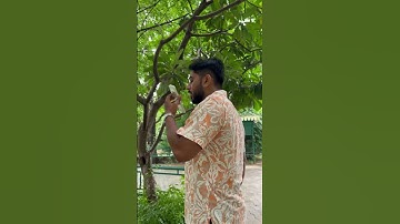 Aaj ghume Jaipur Part 1 #youtuber #minivlog #viralvideo #famous #share #subscribe #viralonyoutube