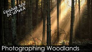 Live Photography Podcast - Photographing Woodlands - Episode 305 of UPwKA