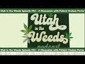 Patient Discussion W/ Medical Marijuana about Cannabis for Depression Utah in the Weeds Episode #42