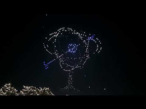 Video Capodanno 2026 a Padova - Spettacolo Droni Luminosi